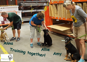 Puppy Fosters training together with Putnam Service Dogs