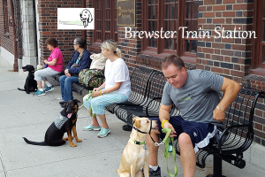 Puppy raisers together at the train station