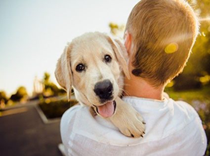 Putnam Service Dogs