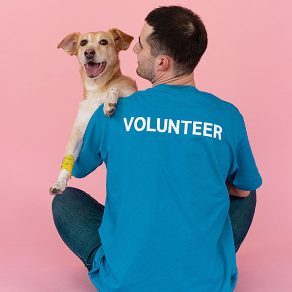 Service Dog Volunteer Opportunities at Putnam Service Dogs
