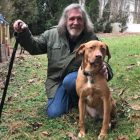 Putnam Service Dogs