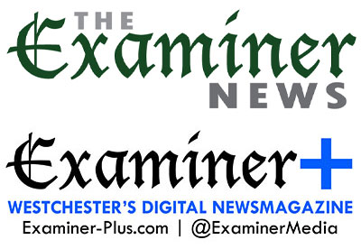 Examiner logo