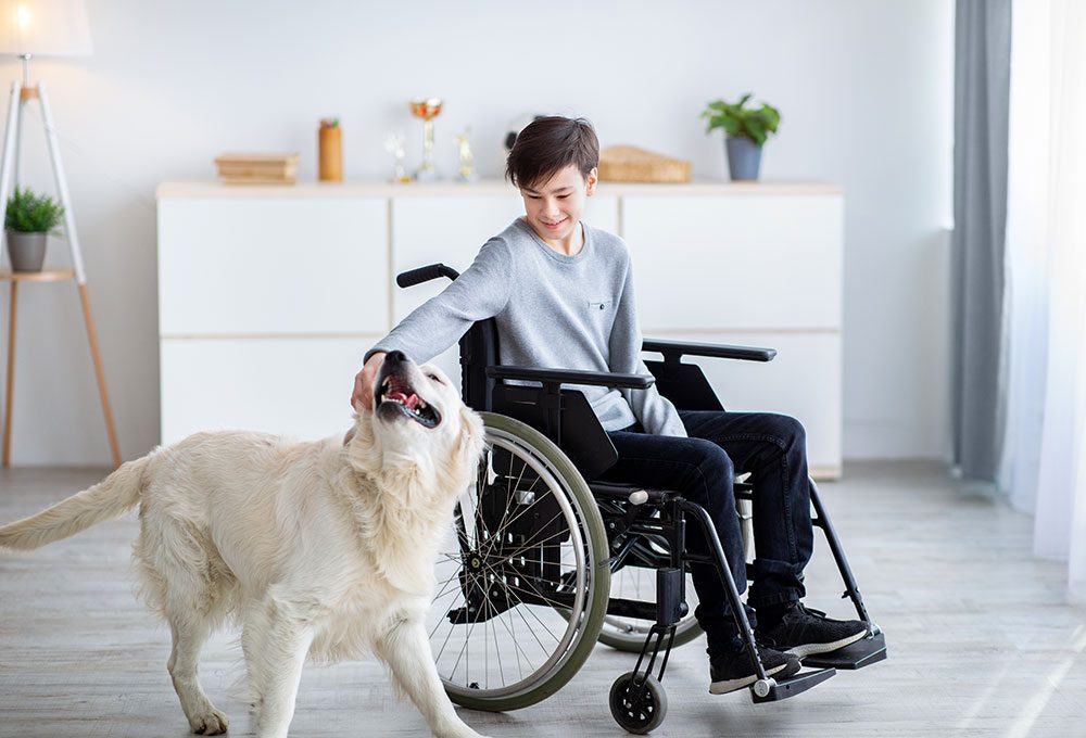 Impaired teenage boy in wheelchair petting his dog at home, full length portrait. Animal-assisted therapy concept