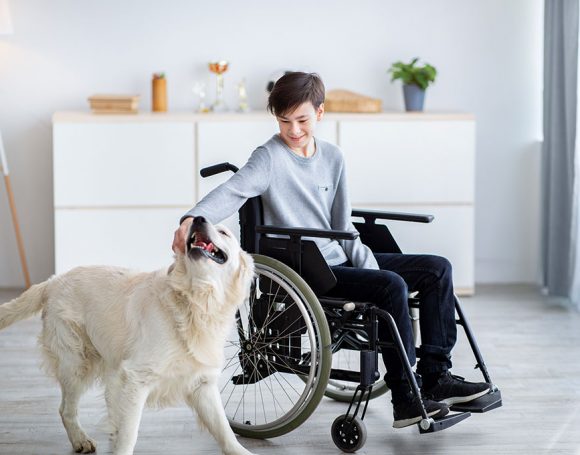 Impaired teenage boy in wheelchair petting his dog at home, full length portrait. Animal-assisted therapy concept