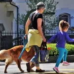 List of Service Dog Tasks