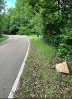 Dog litter on side of the road