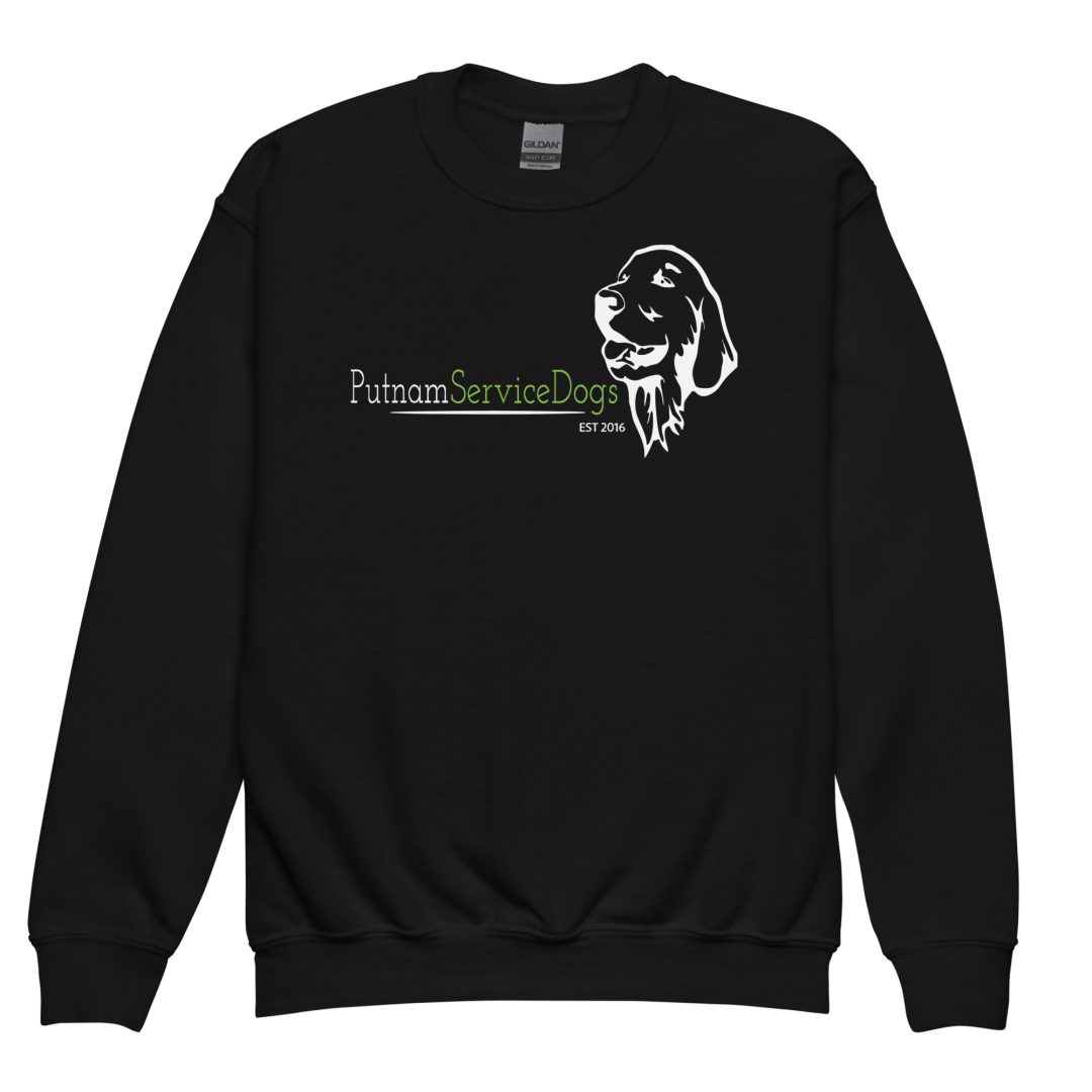 Dog Hair Approved Youth sweatshirt (Dark colors)