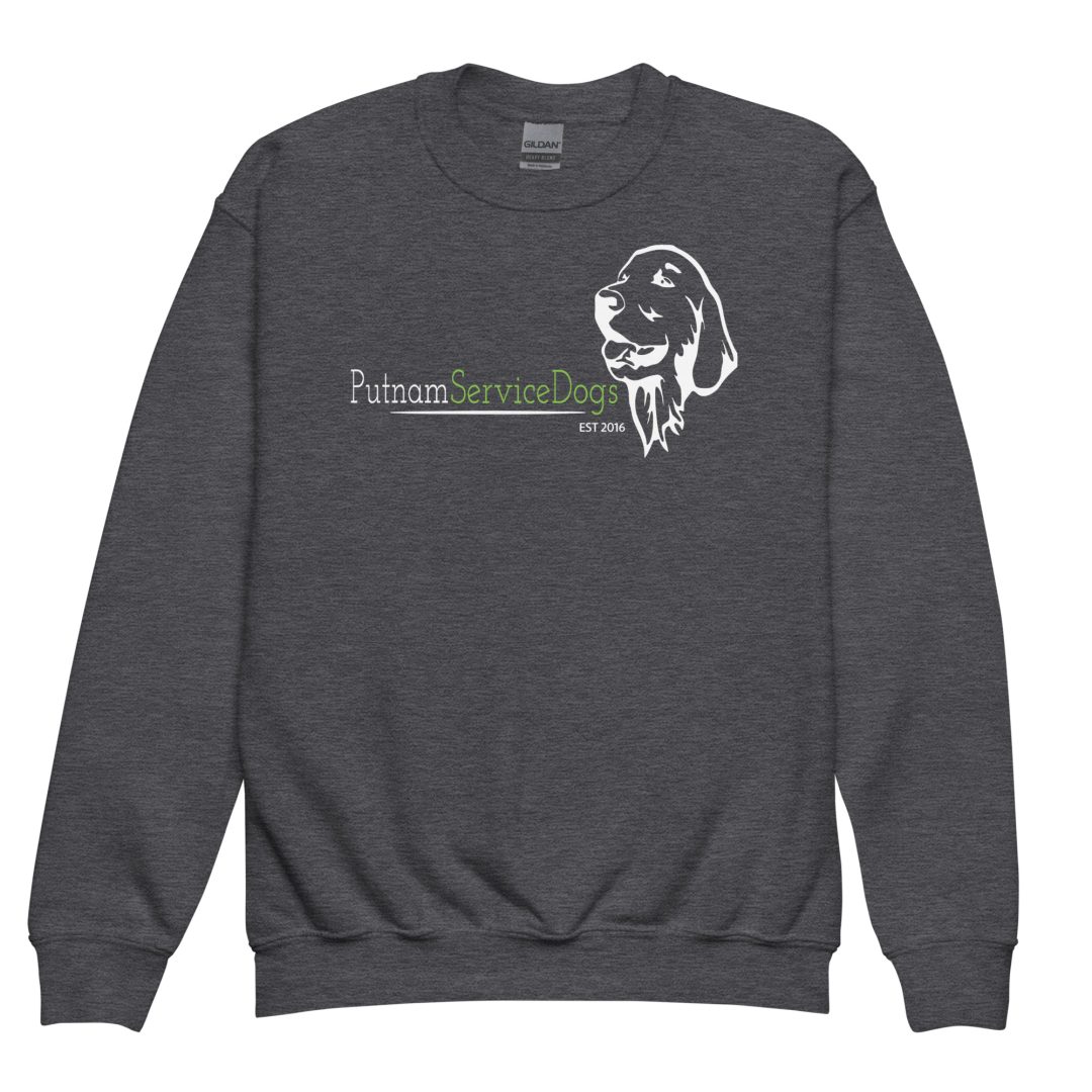 Dog Hair Approved Youth sweatshirt (Dark colors) - Image 5