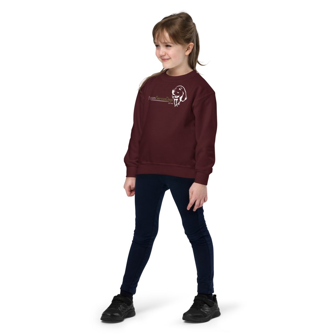 Star Gazing Youth sweatshirt - Image 5