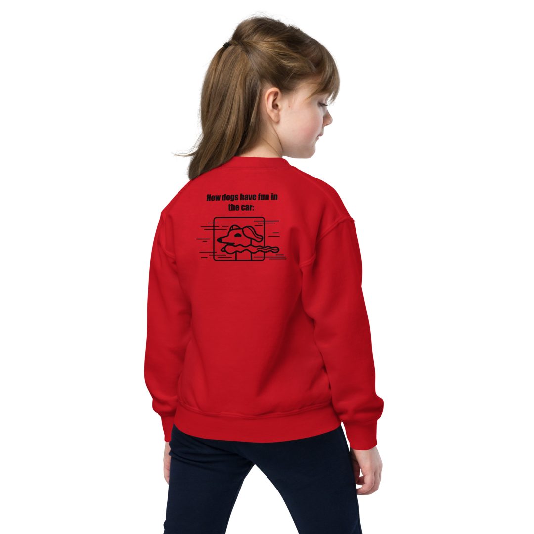 The Thrill of the Ride Youth sweatshirt