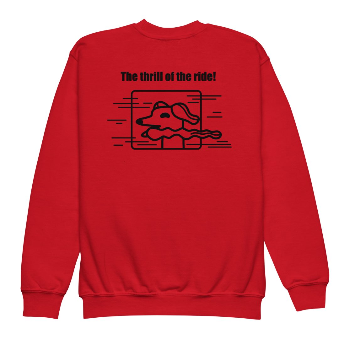 The Thrill of the Ride Youth sweatshirt - Image 6