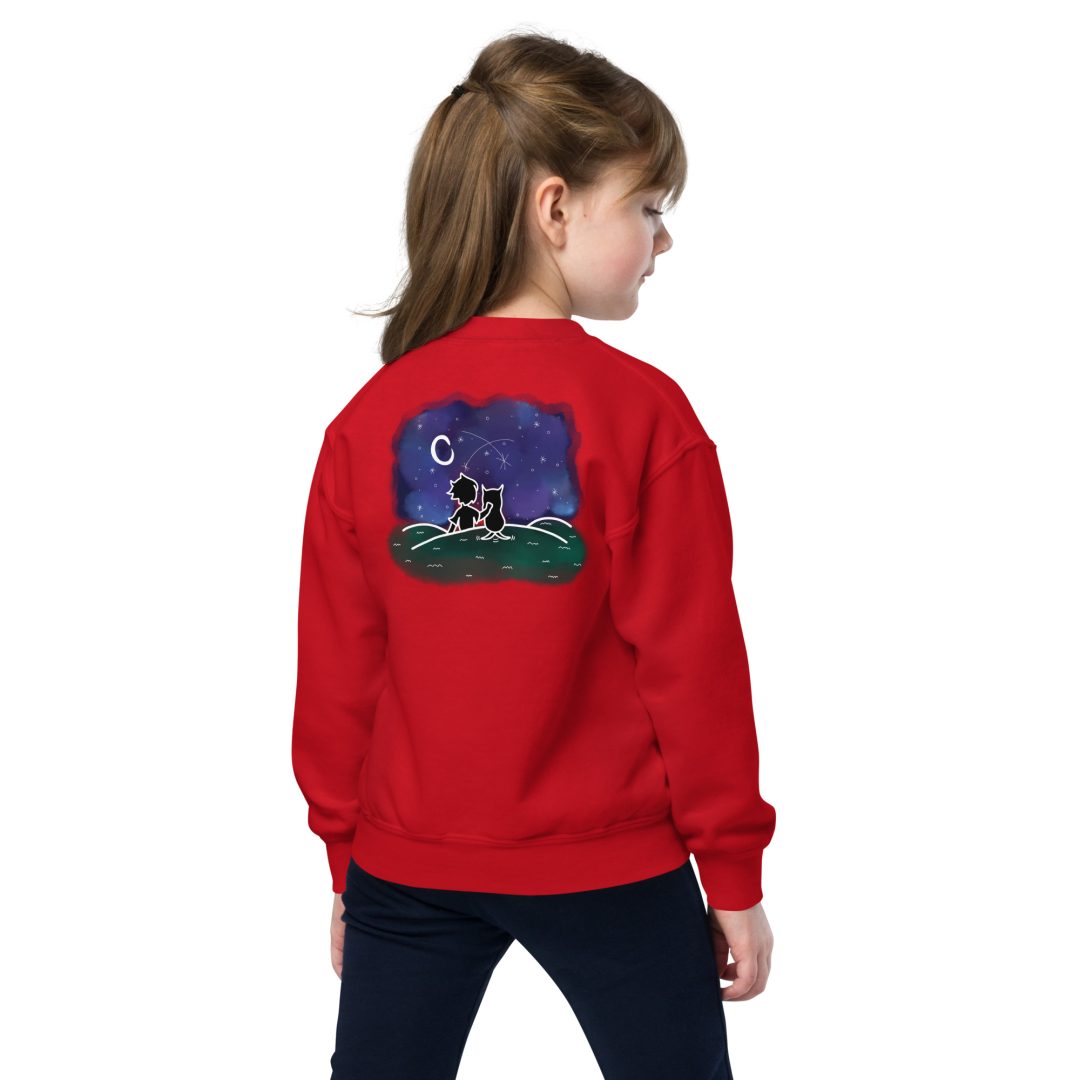 Star Gazing Youth sweatshirt - Image 8