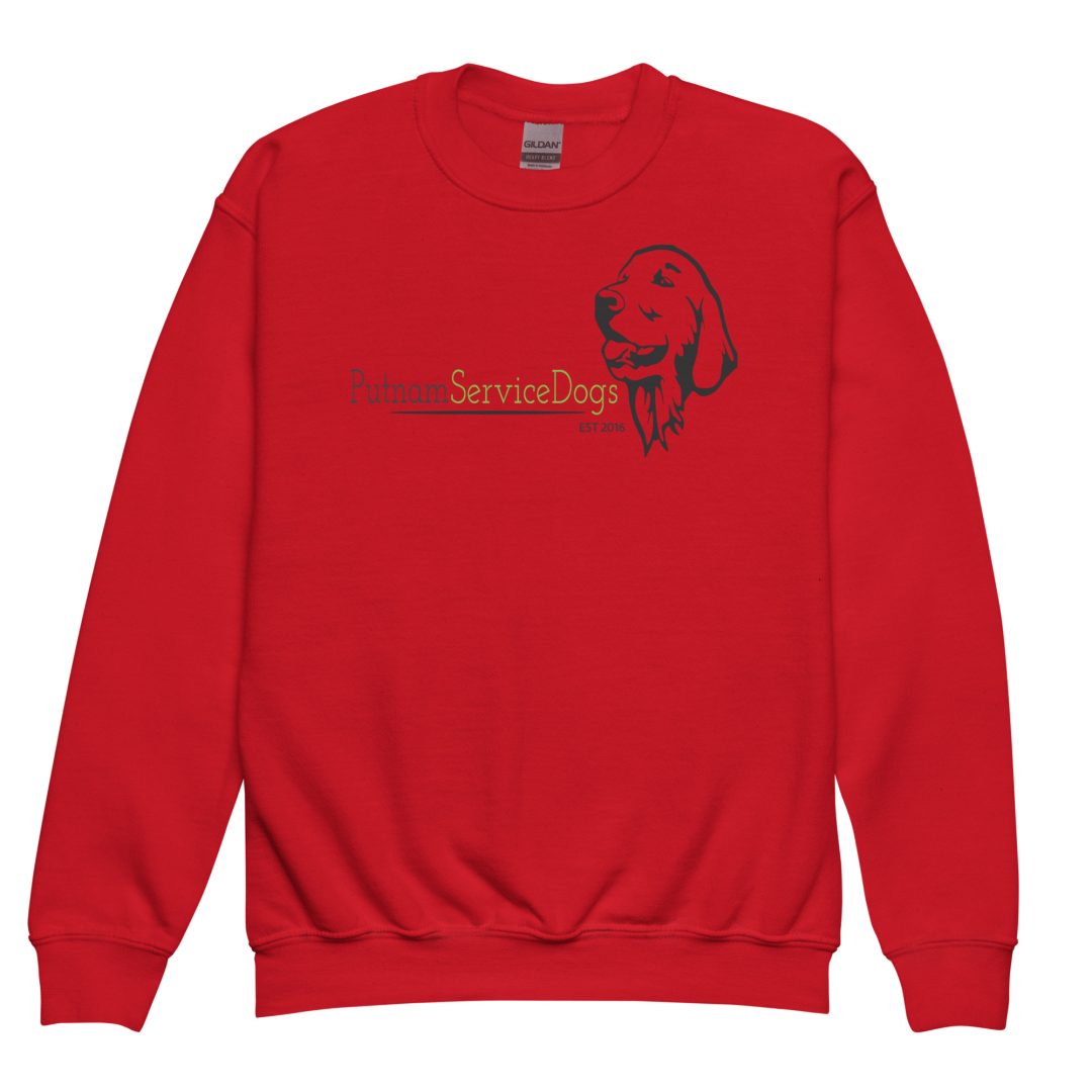 The Thrill of the Ride Youth sweatshirt - Image 5