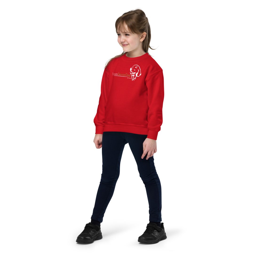 Star Gazing Youth sweatshirt - Image 7