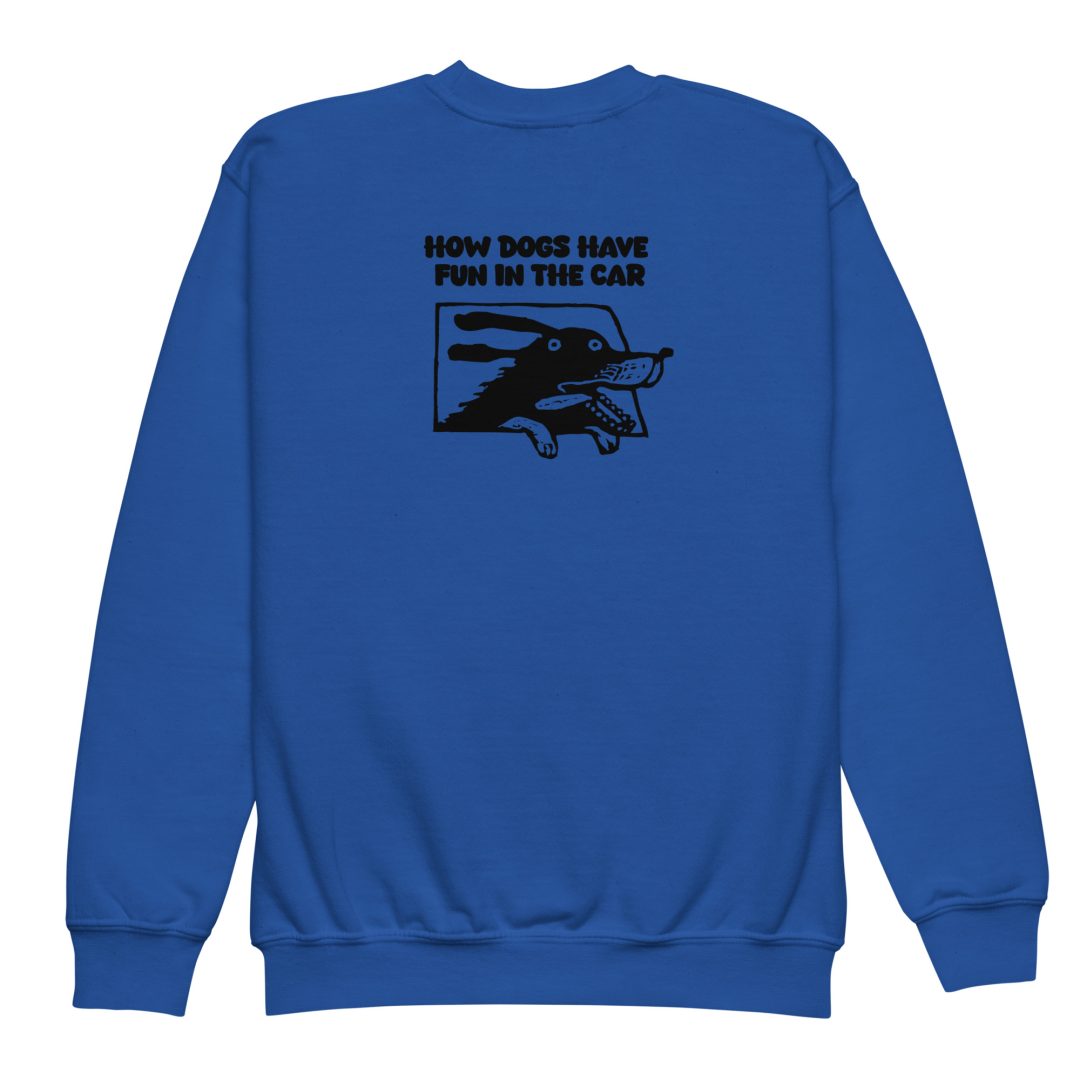 How Dogs Have Fun In The Car Youth sweatshirt - Image 2