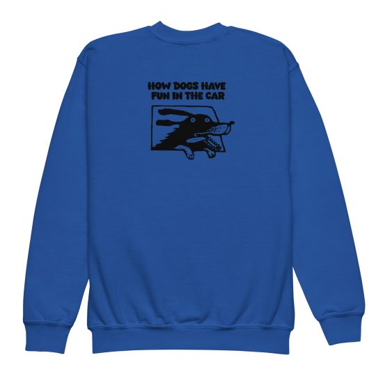 How Dogs Have Fun In The Car Youth sweatshirt