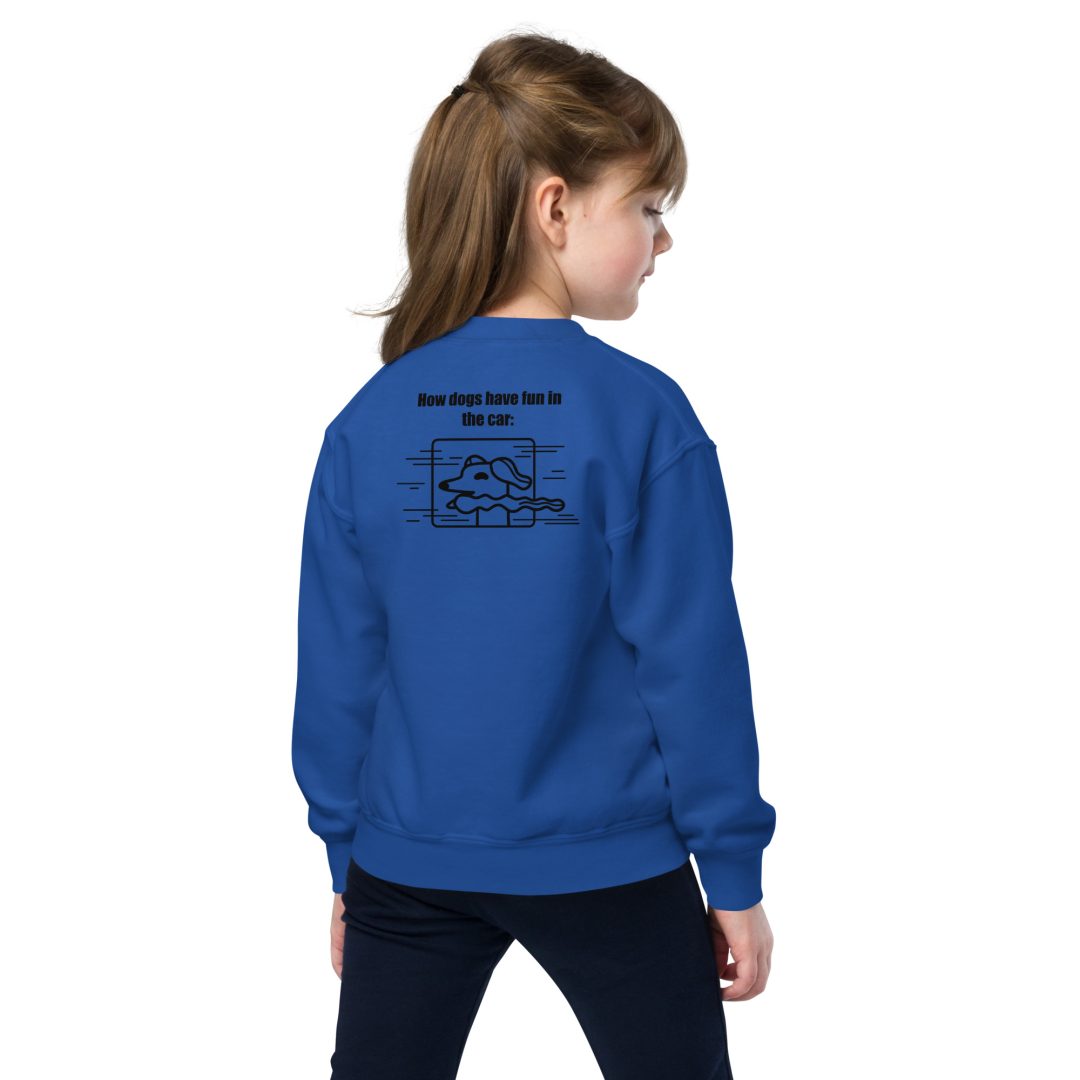 The Thrill of the Ride Youth sweatshirt - Image 2