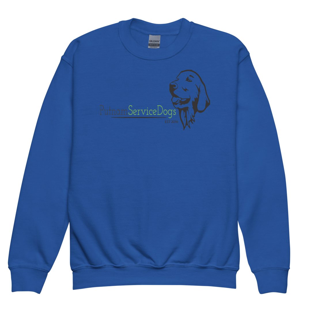How Dogs Have Fun In The Car Youth sweatshirt