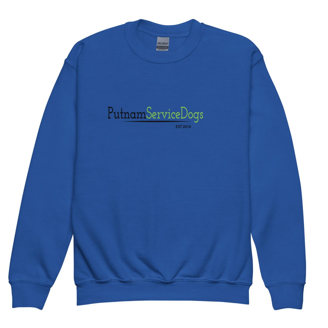 Furry Superheroes Youth sweatshirt