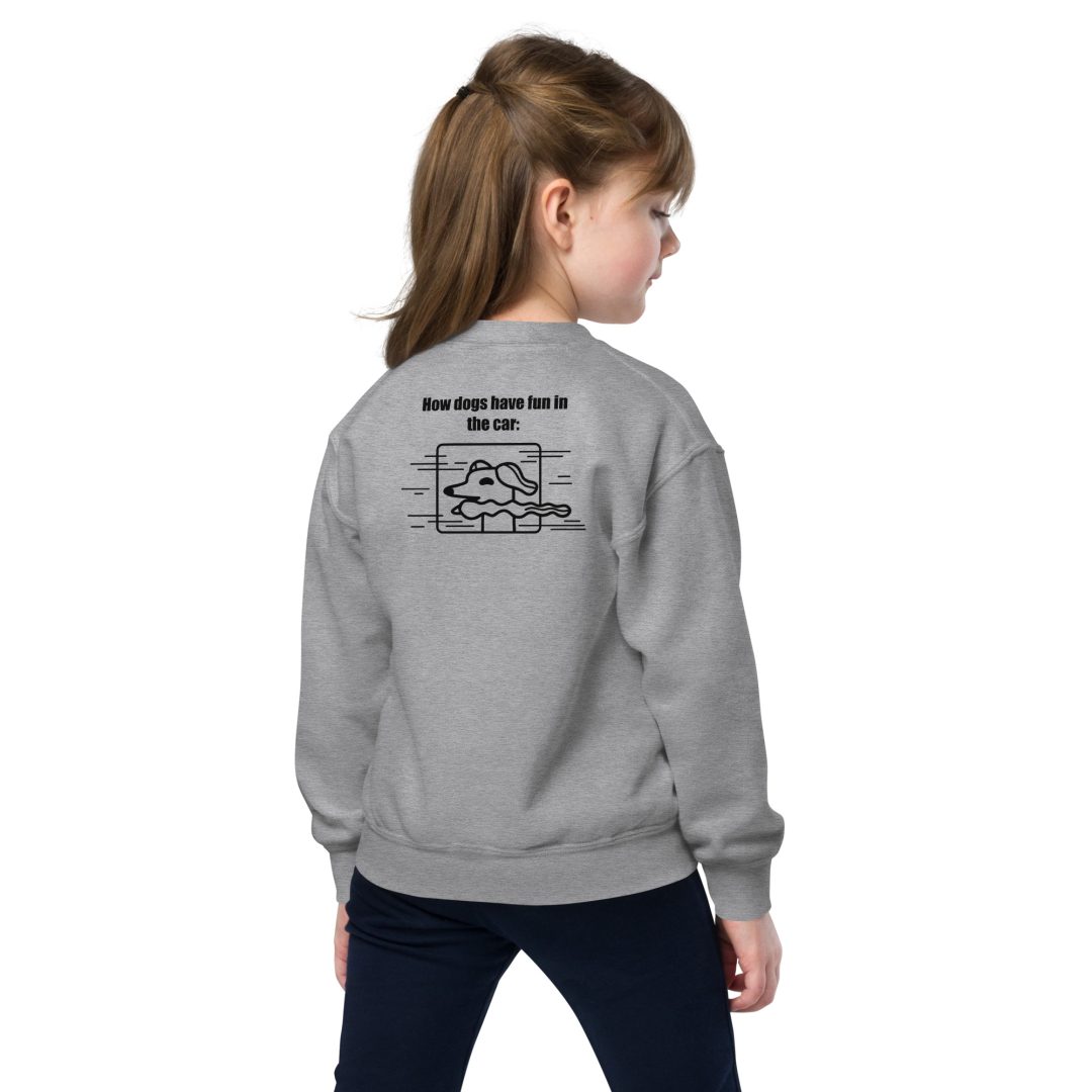 The Thrill of the Ride Youth sweatshirt - Image 3