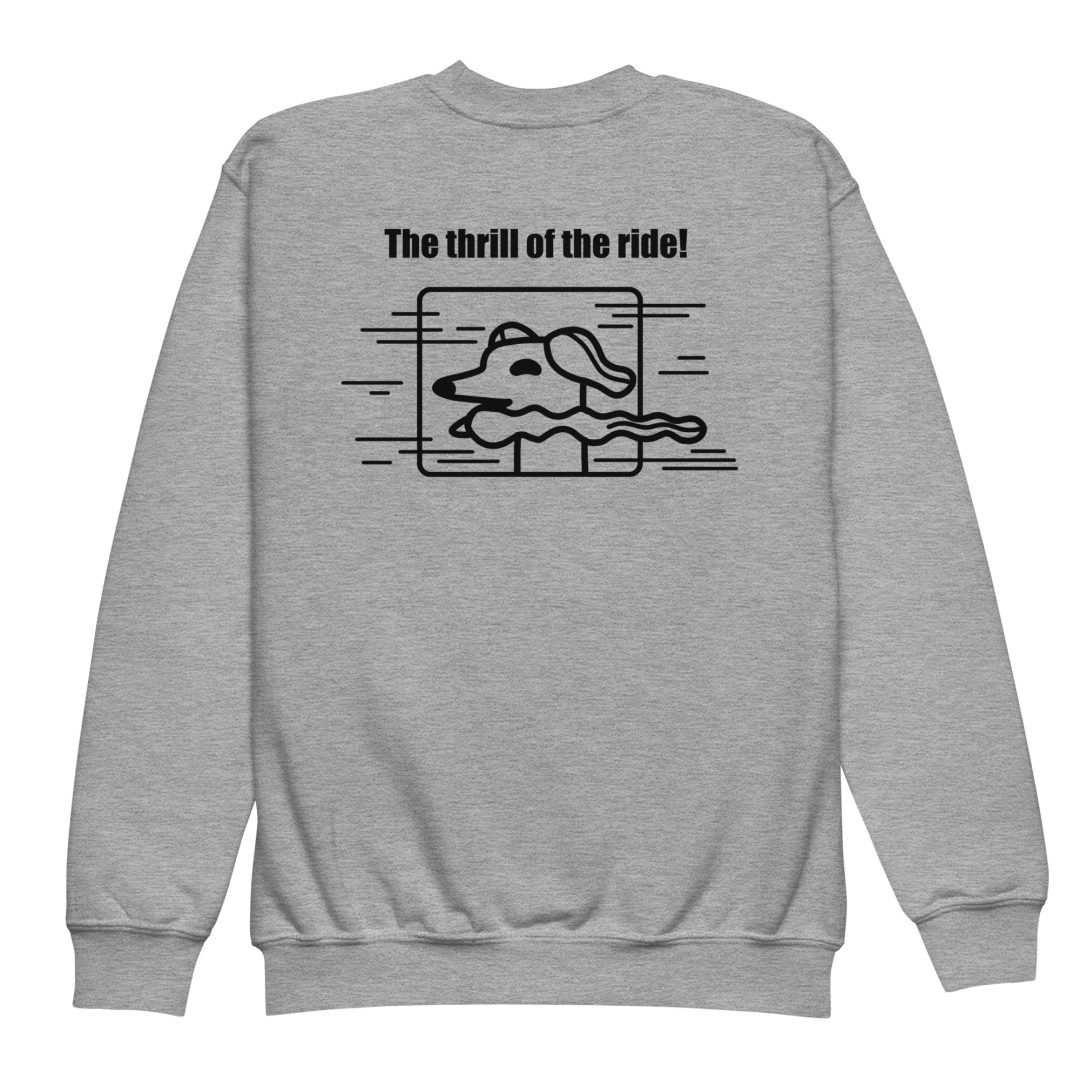 The Thrill of the Ride Youth sweatshirt - Image 10