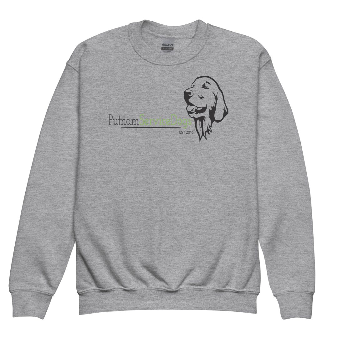 The Thrill of the Ride Youth sweatshirt - Image 9