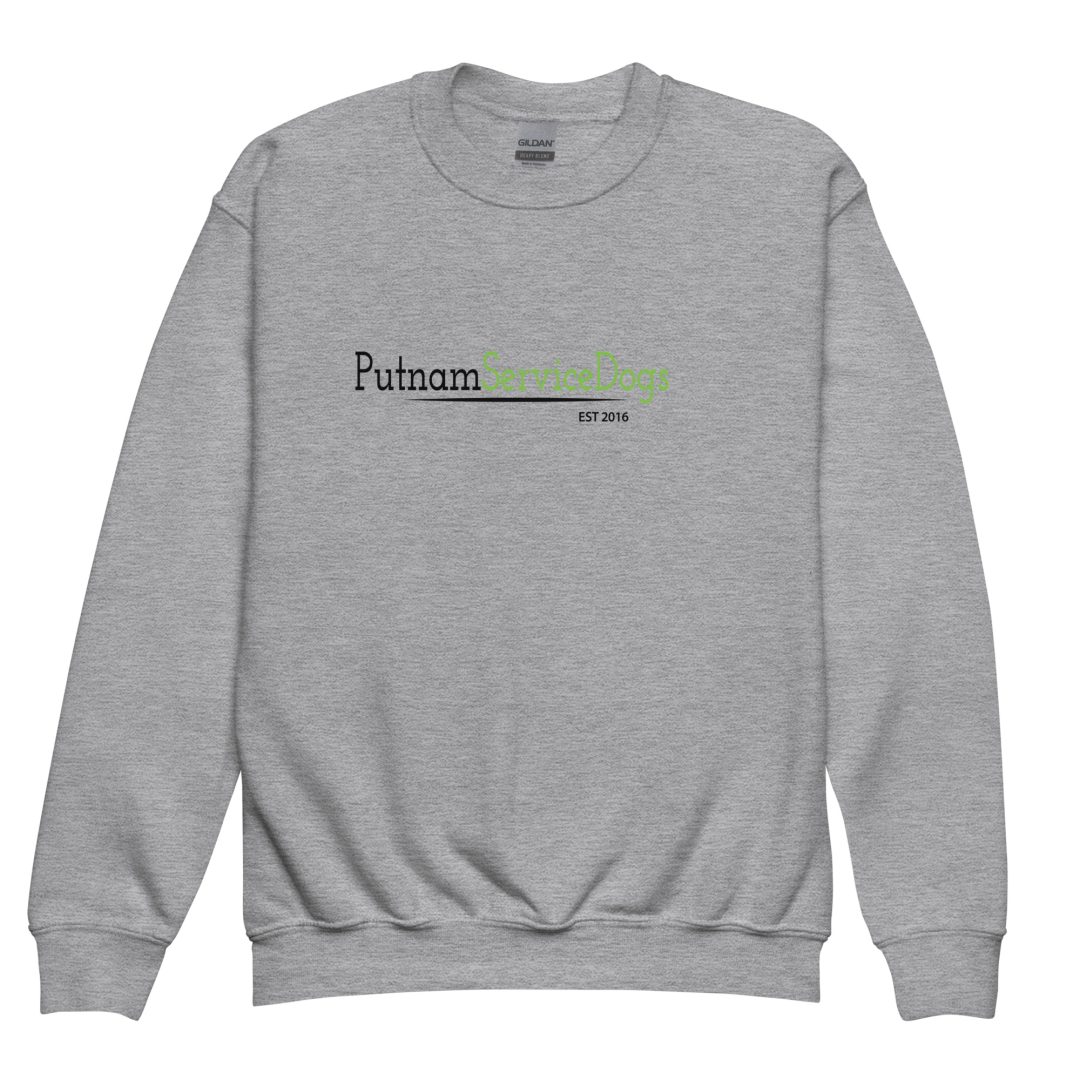 Furry Superheroes Youth sweatshirt - Image 3