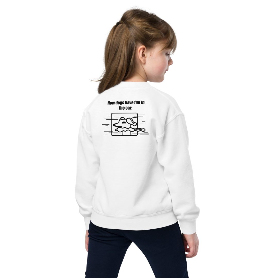 The Thrill of the Ride Youth sweatshirt - Image 4