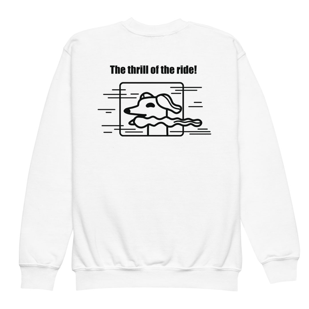 The Thrill of the Ride Youth sweatshirt - Image 12
