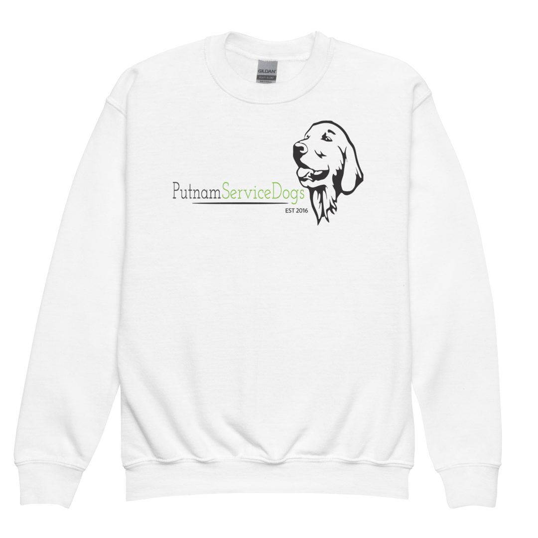 How Dogs Have Fun In The Car Youth sweatshirt - Image 3