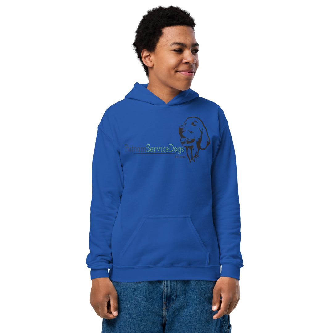 The Thrill of The Ride Youth hoodie
