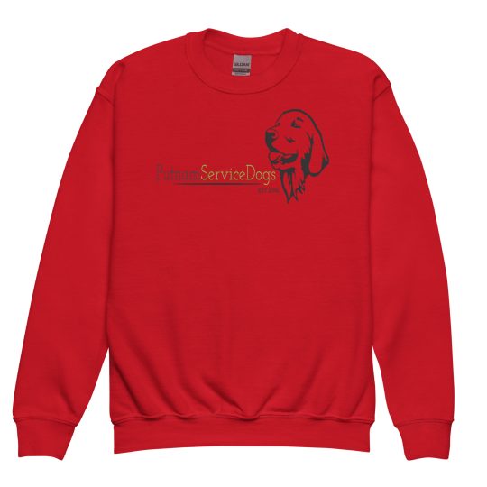 The Joy of a Dog Youth sweatshirt