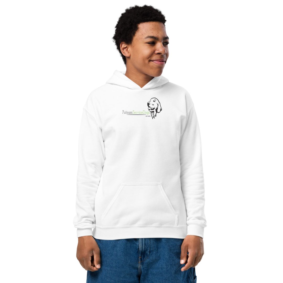 How dogs have fun in the car Youth hoodie - Image 12