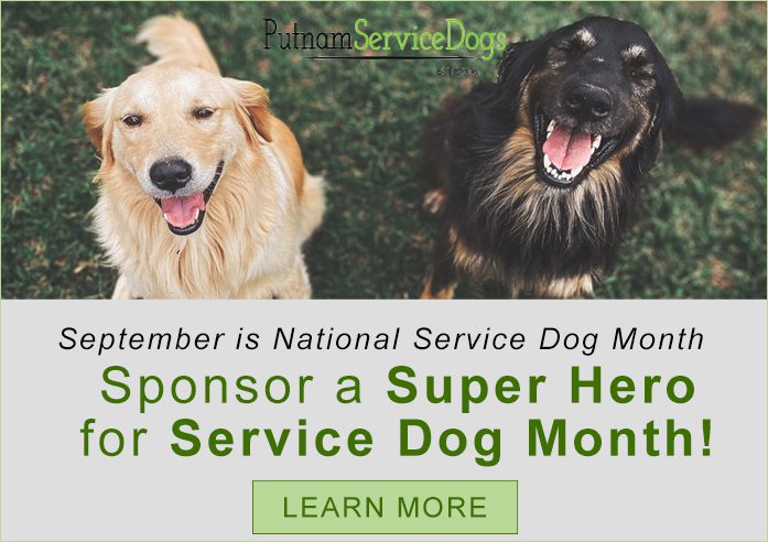 Service Dog Month