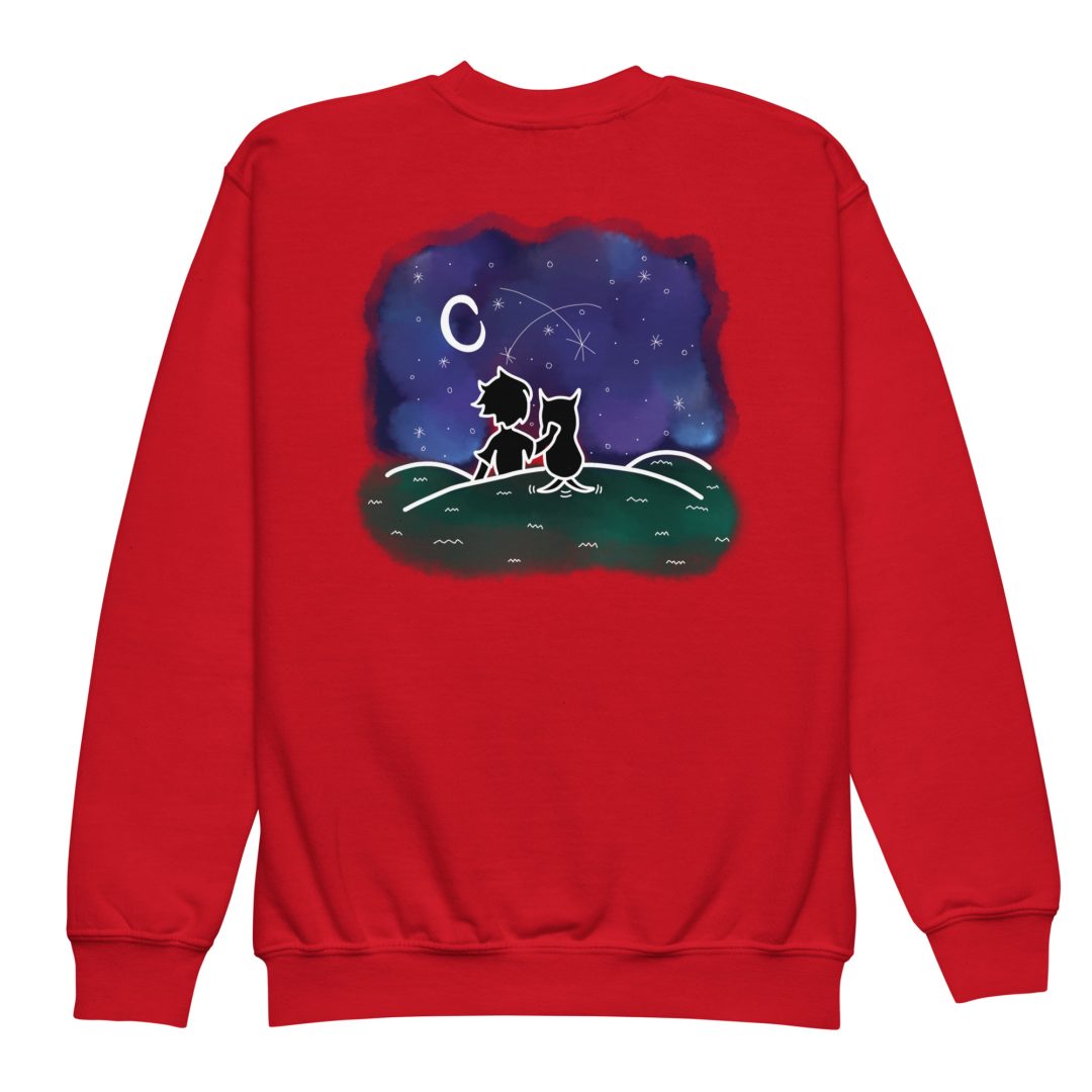 Star Gazing Youth sweatshirt - Image 12
