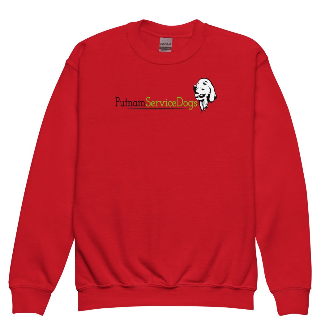 Star Gazing Youth sweatshirt - Image 11