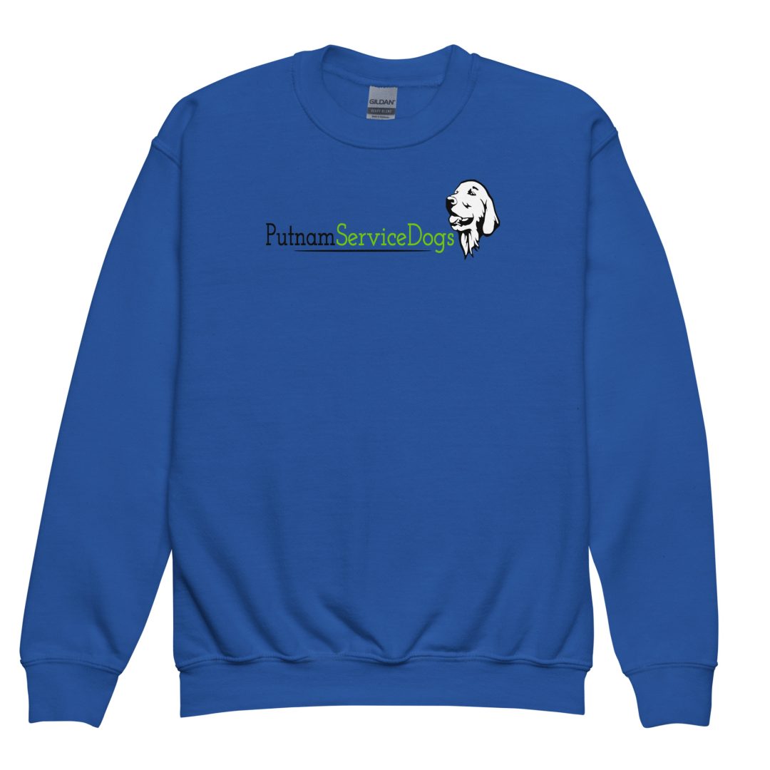 How Dogs Have Fun In The Car Youth sweatshirt - Image 3