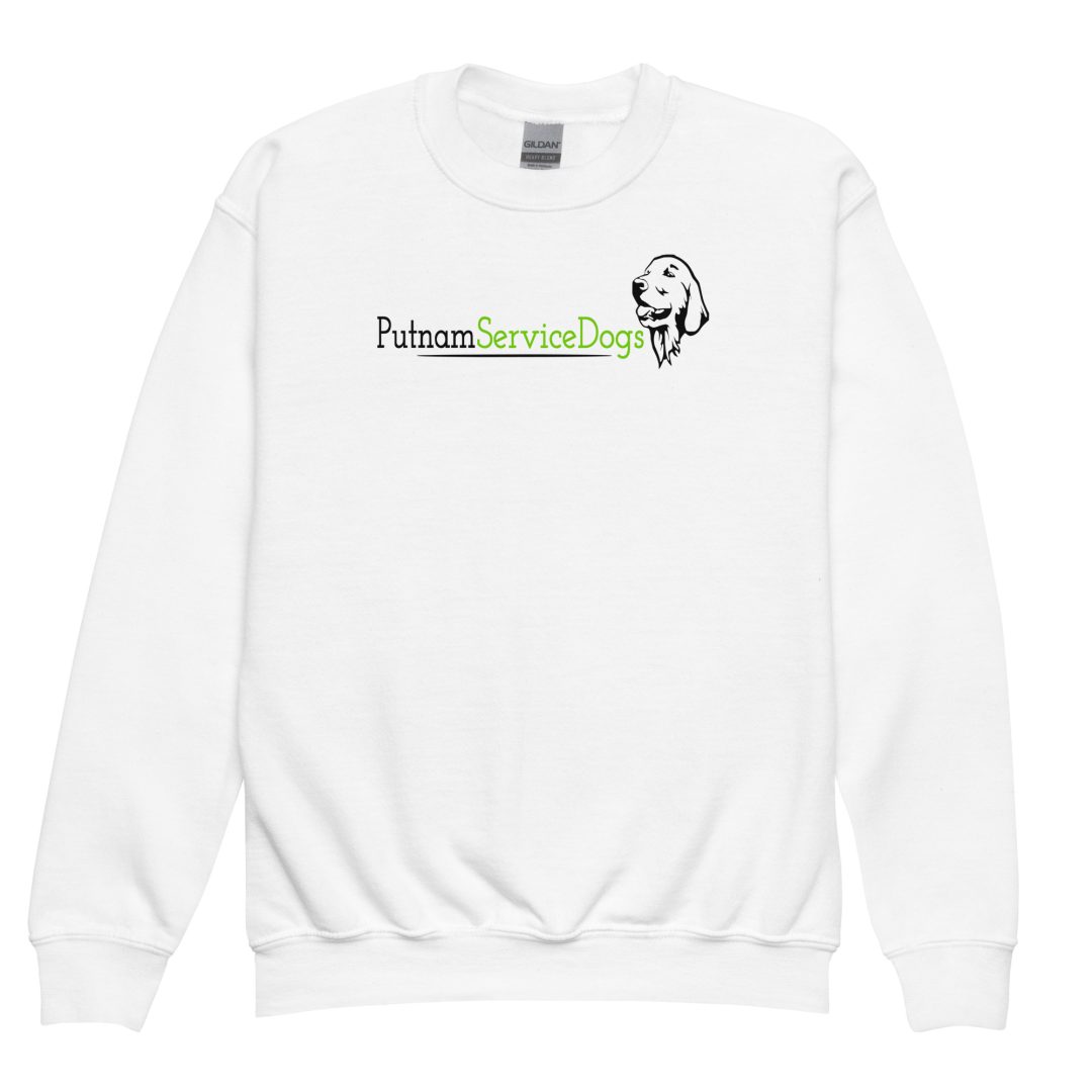 How Dogs Have Fun In The Car Youth sweatshirt - Image 5