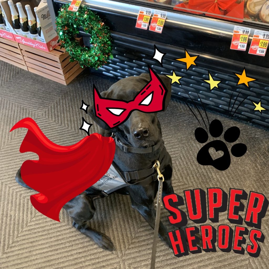 Service dog wearing red super hero cape while working