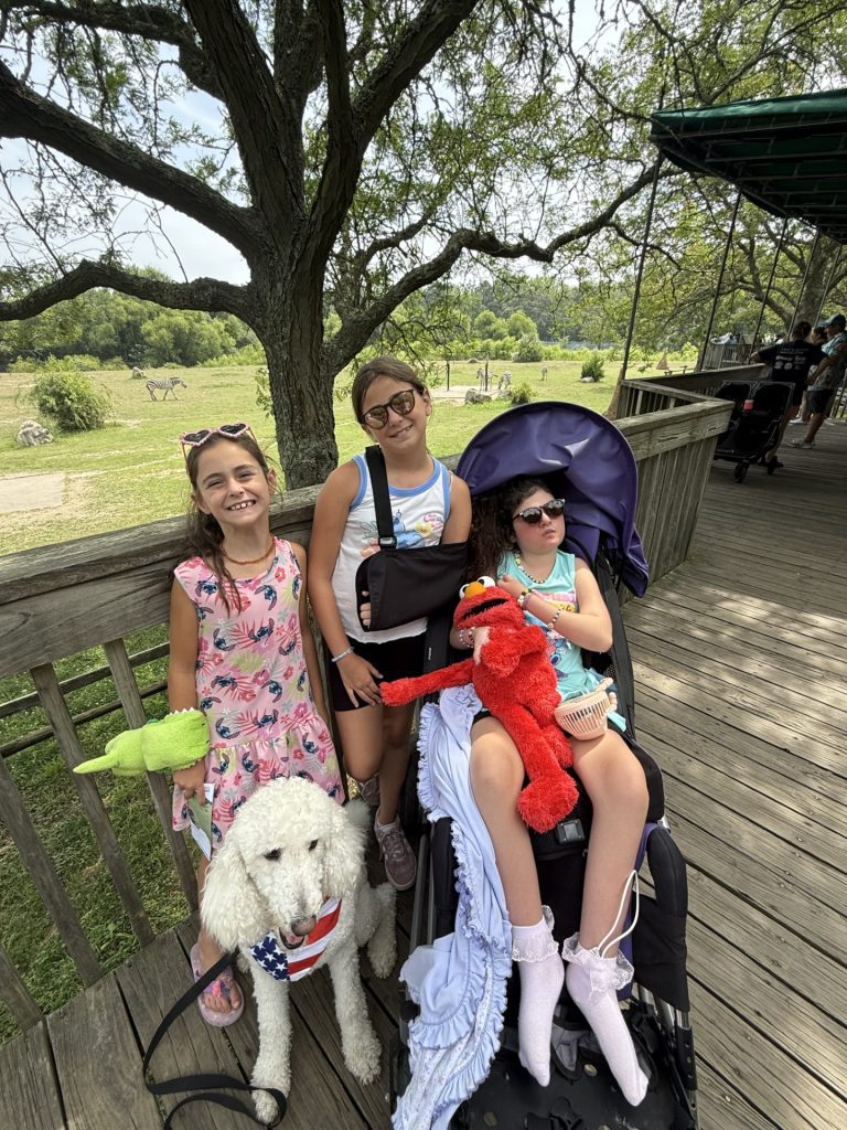 Three girls on a shaded boardwalk at a wildlife park with a white poodle; one girl sits in a stroller holding an Elmo plush, while zebras graze in the field behind them.