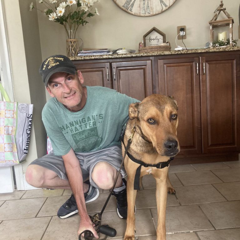 Man in a “U.S. Marine Corps Veteran” cap kneels on a tiled floor beside a brown dog in a black harness; large rustic wall clock and flowers on the counter behind them.