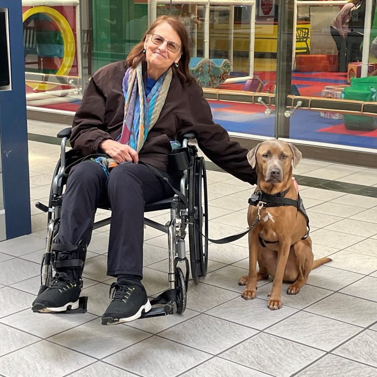 Woman in a wheelchair rests a hand on a tan service dog sitting beside her in a mall corridor; children’s play area visible behind glass.