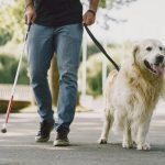 Should I get a Service Dog?