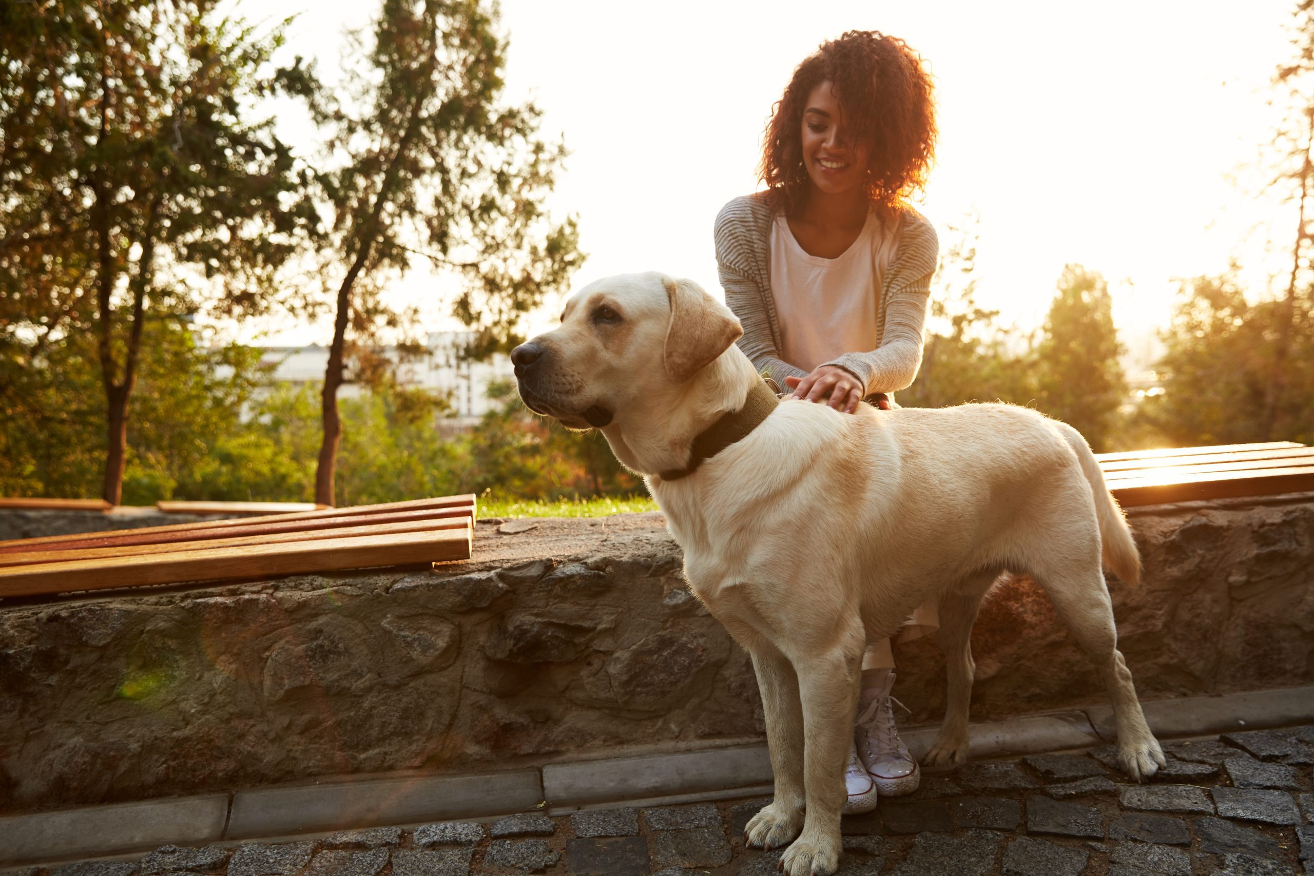 Full-length shot of pretty white dog with owner in park walking