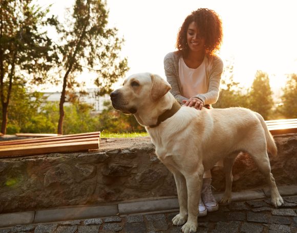 Full-length shot of pretty white dog with owner in park walking