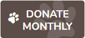 donate-monthly