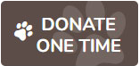 donate-recurring